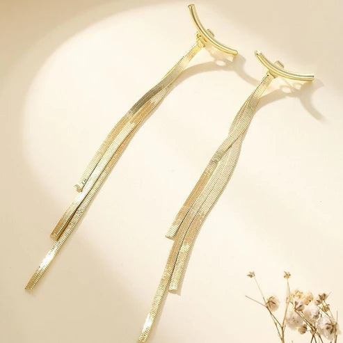 Tassel Earrings With Female Instagram Style Minimalist Design, Long Snake Bone Chain Earrings, Internet Famous Earrings