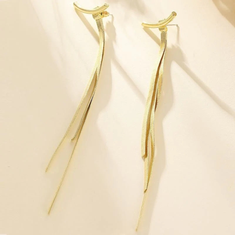 Tassel Earrings With Female Instagram Style Minimalist Design, Long Snake Bone Chain Earrings, Internet Famous Earrings